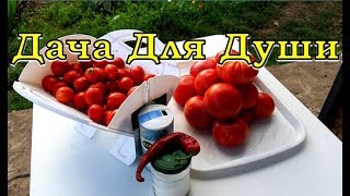 ТОМАТЫ в СОБСТВЕННОМ СОКУ - лучший рецепт🍅🍅🍅