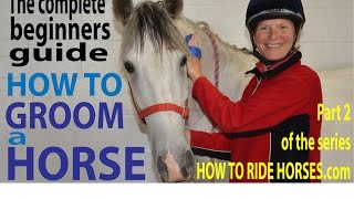 How to Groom a horse - Part 2 of 'The complete beginners guide' from the HOW TO RIDE HORSES Series