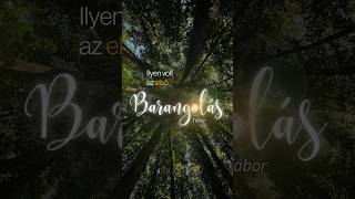 Ilyen volt a Barangolás Tábor 🥰 Tarts velünk a következő eseményen 💫 Részletek a weboldalon ✨