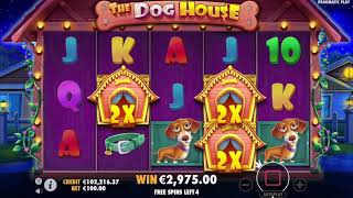 Casino Live The Dog House