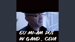 Eu mi-am pus in gand , ceva