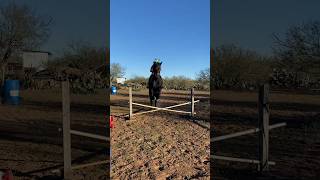 Raw #horse #equestrian #jumping #horsesport #winter 𐂃♡🎄