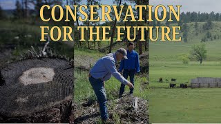 Conservation for the Future: Preserving the Legacy with Forest Thinning, Treasure County, MT