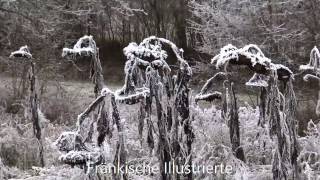 Väterchen Frost zum Advent