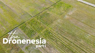 Aerial Cinematics: Exploring the Beauty of Rice Fields