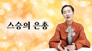 스승의 은총