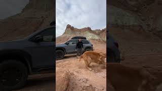 Sandy Nala stomps in the desert of Utah