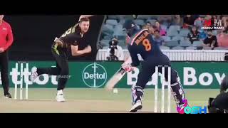 JADEJA bapu is king 👑 #short #csk #ipl #like #video #viral #jadeja