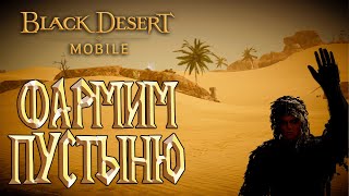 Black Desert Mobile - Фармим Пустыню и Не только