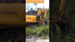 Excavator LiuGonG CLG 915E - Forestry, working on land clearing..