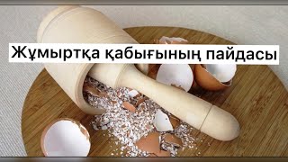 30 Жастан Асқан Әйелдер Көріңіздер,Жұмыртқаның пайдасы!