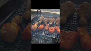 Barbecue at Jordan Lake NC #shorts #outdoors