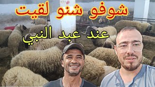 مع محبوب الجميع عبد النبي صاحب المقولة الشهيرة ; الله يرضي عليكم 🫶😍🫶 جولة ممتعة لا تفوتها