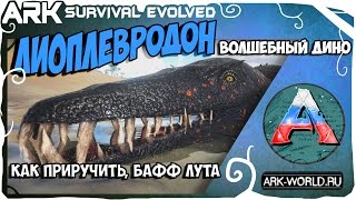 ARK Survival Evolved Лиоплевродон Приручаем медом! Баф Дропа до Легендарного качества!