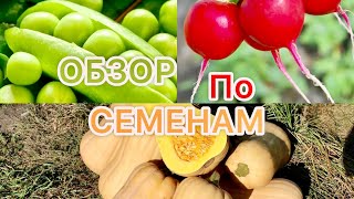 ОБЗОР ПО СЕМЕНАМ И ГДЕ ИХ КУПИТЬ