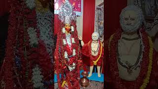 #কালীপূজা #song #জয়মাতারা #তারাপীঠ #videos #lovesongs #tarapithmandir