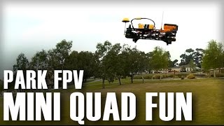 Mini Quad Fun - Park FPV with Minion and CGX250