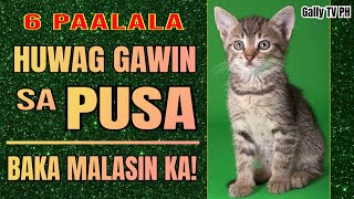 HUWAG GAWIN ITO SA PUSA PARA PATULOY ANG SWERTE | Never do this  to your lucky cat 2025