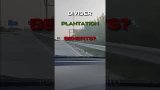 Benefits of Plantation along the highways | Peripheral Expressway  #CheezyAuto @cheezy_auto