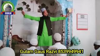 gulam gaus razvi ki nizamat ( riyazuddin qadri)