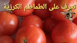 تعرف على الطماطم الكرزية 🍅 🍅 🍅