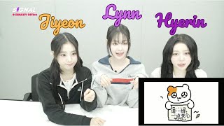 [ENG SUB] tripleS Weibo SIGNAL LIVE 241011 (Hyerin, Lynn, Jiyeon) 트리플에스 Silly Debates