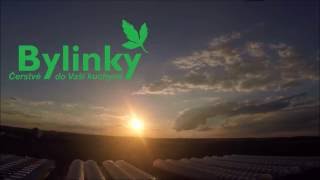 Bylinky introduction