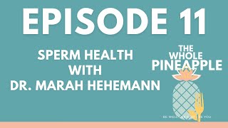 EPISODE 11: SPERM HEALTH WITH DR. MARAH HEHEMANN