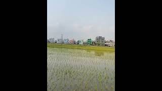 Those green fields 😍- #shortvideo #shortvlog #shorts #ad #viral #subscribe #youtubeindia #video #art