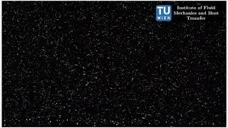 Fiber-laden Turbulent Channel Flow at shear Reynolds 850