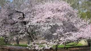 A Glimpse of New York - Spring