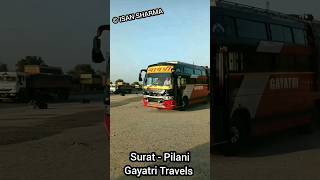 Surat To Pilani : Gayatri Travels #shorts #shortvideo #gayatri