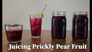 Juicing Prickly Pear Fruit