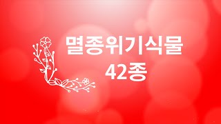 희귀/멸종위기/보호 식물 42종을 소개합니다.