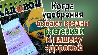 Когда удобрения бывают вредны растениям и нашему здоровью