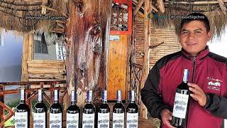 El Último Inca – Vinos Cotopaxi