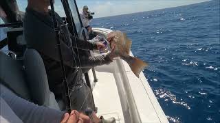 Florida Grouper & Snapper Fishing