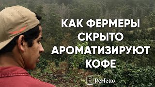 ПОДКАСТ. Роман Хомченко. Про обман со стороны фермеров и скрытые добавки в кофе.