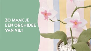 Creatief met vilt: zo maak je zelf een orchidee