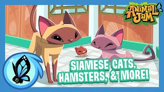 What's New in Animal Jam? | June Update