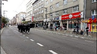 Parada Święta Niepodległości w Gdynia 11 11 2022