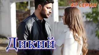 Дикий 47 серия на русском языке. Новый турецкий сериал. Анонс