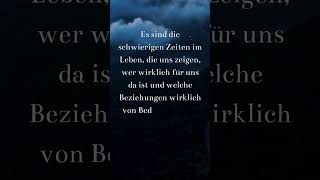 Zitate leben kurz #zitate #zitatliebe #shorts #shortsvideo #short #video #shortsfeed #dutchbullion 7