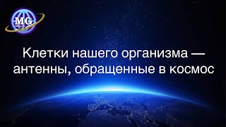 Клетки нашего организма - антенны, обращенные в космос