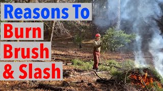 Why Burn Brush & Slash Instead of Leaving It