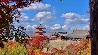 Kiyomizu Dera Herbst in Kyoto