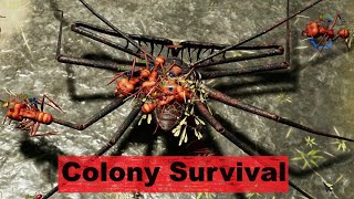 Ant Colony Survival - Wave Assaulted by Whip Spiders & Other Insects -  Empires of the Undergrowth