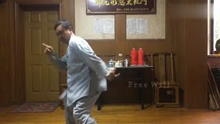 Tai Chi Master Ma Baoguo claimed that his moves are effective in real fight