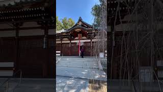 Đền Thờ Thần Nhật Bản 屯倉神社⛩ #shorts #cuocsongnhatban