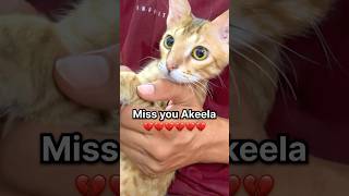 Miss You Akeela 💔